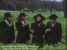Amish Paradise